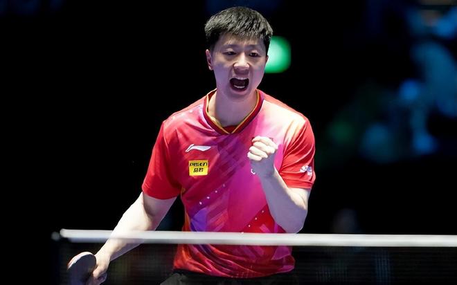 本文将深入 本文将深入