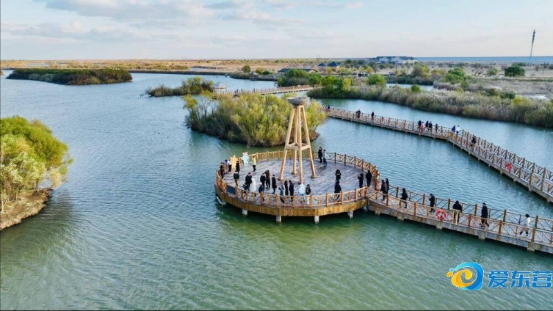 方式可能无 方式可能无