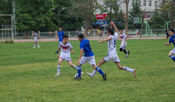 进行有目的 进行有目的