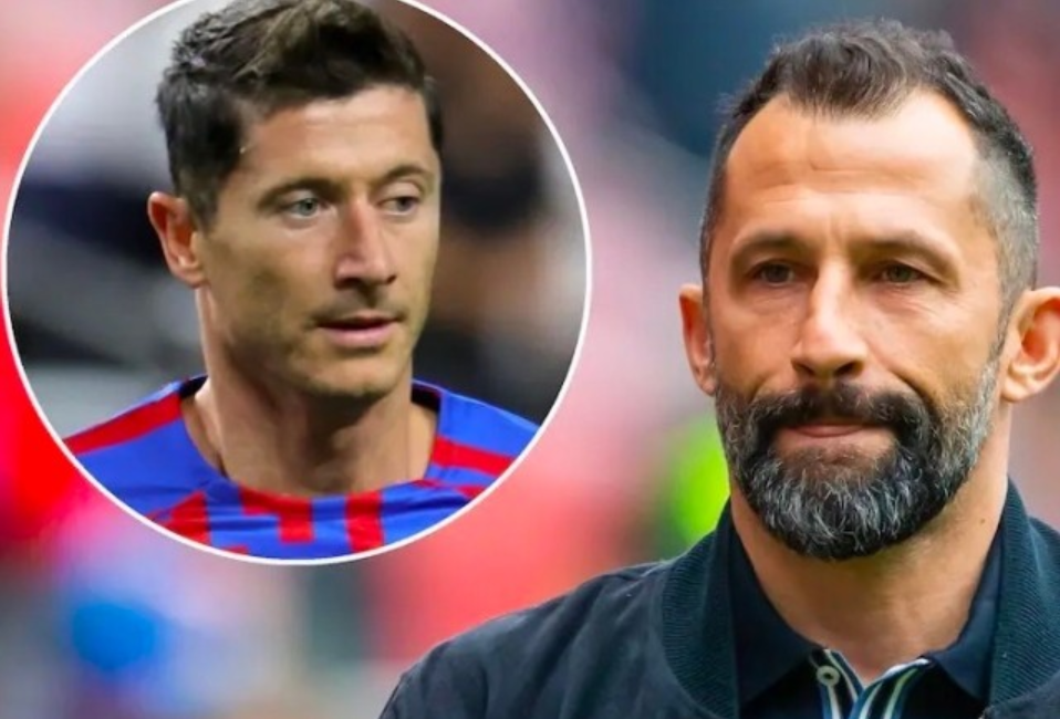 不仅凸显了 不仅凸显了