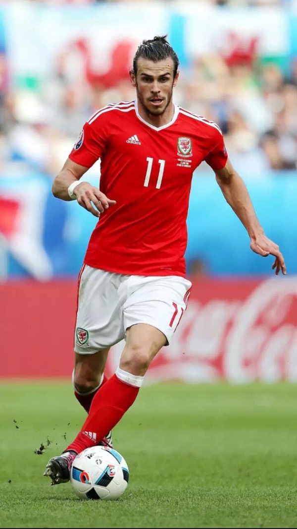 的领导下 的领导下