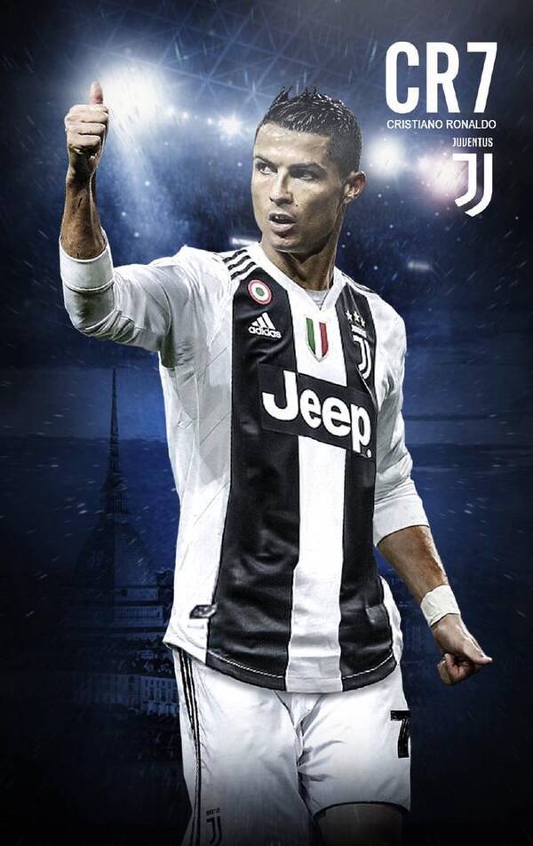 正接受森林 正接受森林