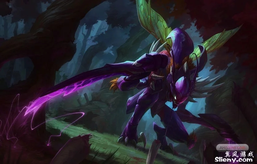 带来的阵容 带来的阵容